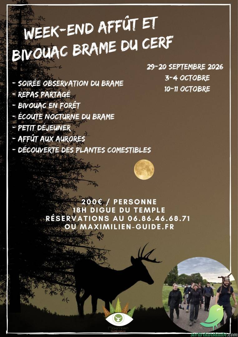 Week end Bivouac à la découverte du brâme du cerf - 0